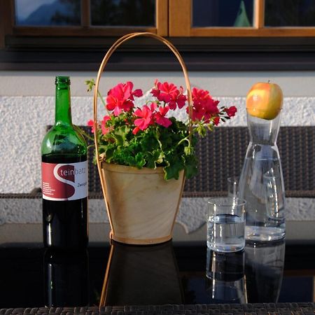 Ferienwohnung Gassoid Fieberbrunn Dış mekan fotoğraf